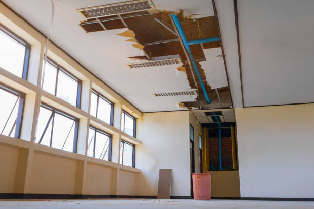 Best Residential water damage restoration  in Elverta, CA