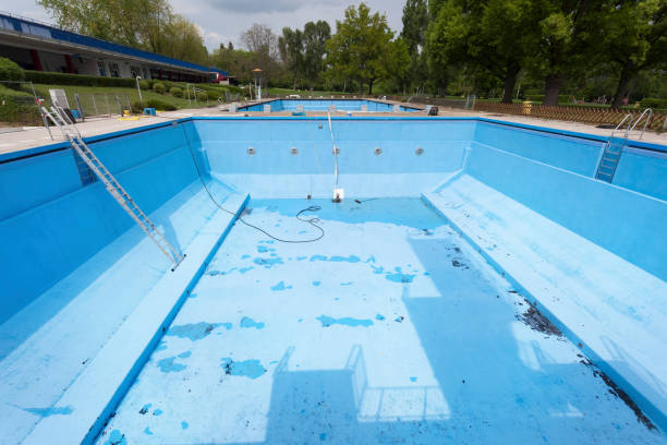 Best Mold removal after water damage  in Elverta, CA