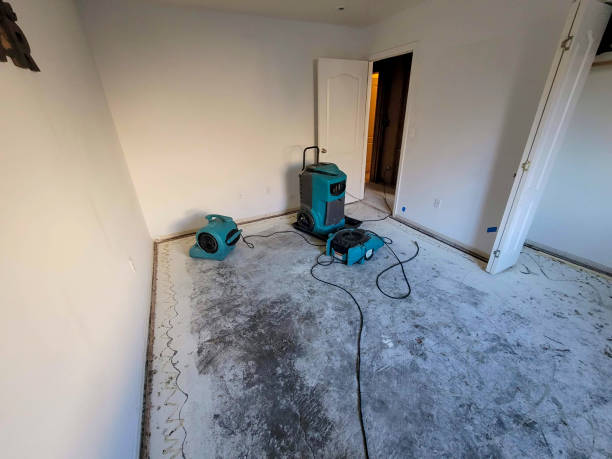  Elverta, CA Water damage restoration Pros