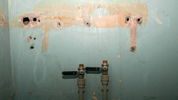 Best Basement water damage restoration  in Elverta, CA
