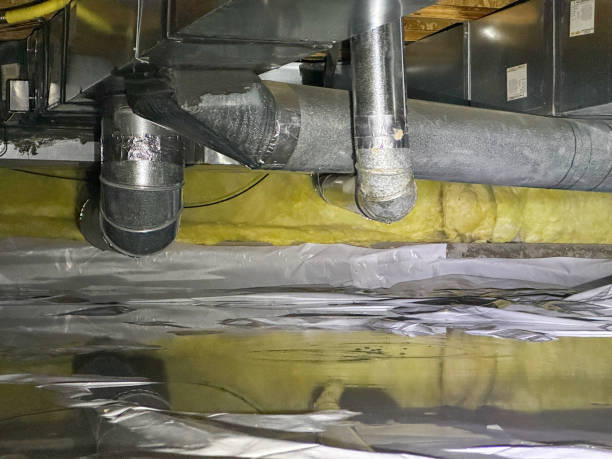 Best Fire Damage Restoration  in Elverta, CA