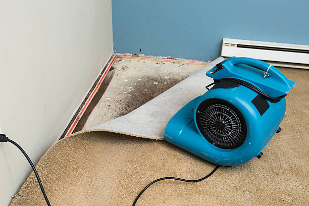 Best Water damage restoration insurance claims  in Elverta, CA