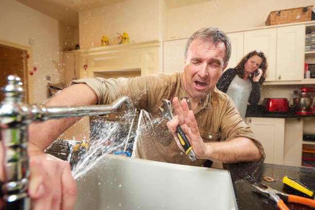 Best Water damage cleanup near me  in Elverta, CA